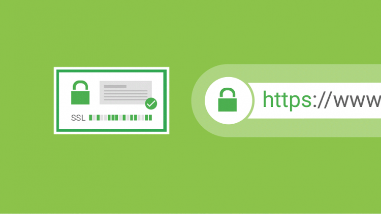 A FREE SSL Comes With Every Web Hosting Plan We Provide.